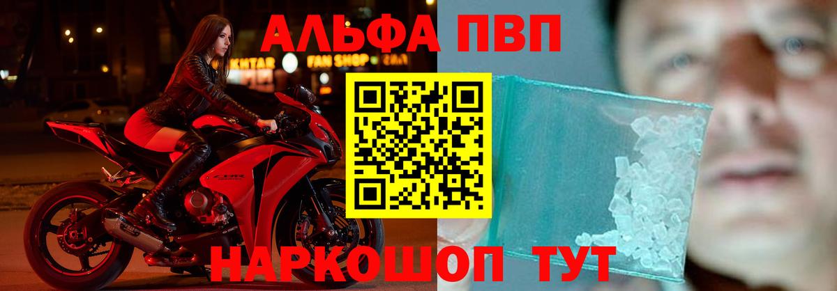 Альфа ПВП СК КРИС Великий Устюг