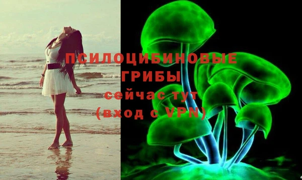 синтетический гашиш Туринск