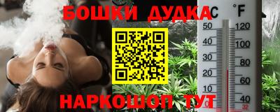 гашик Дубна