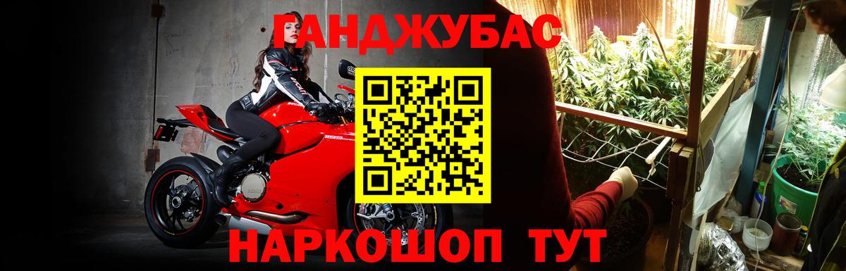 Каннабис план  Марихуана сатива  Великий Устюг  Марихуана Amnesia 